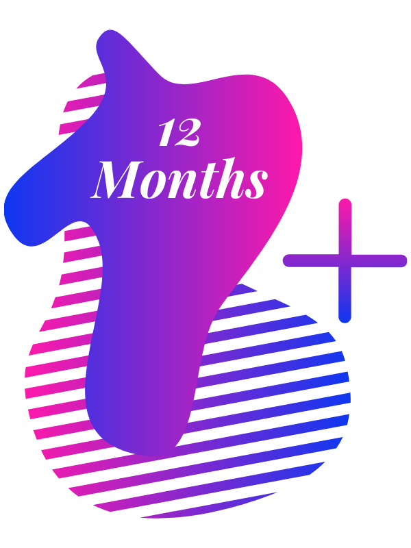 12 months subscription
